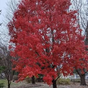 Meet your Posher, Annette